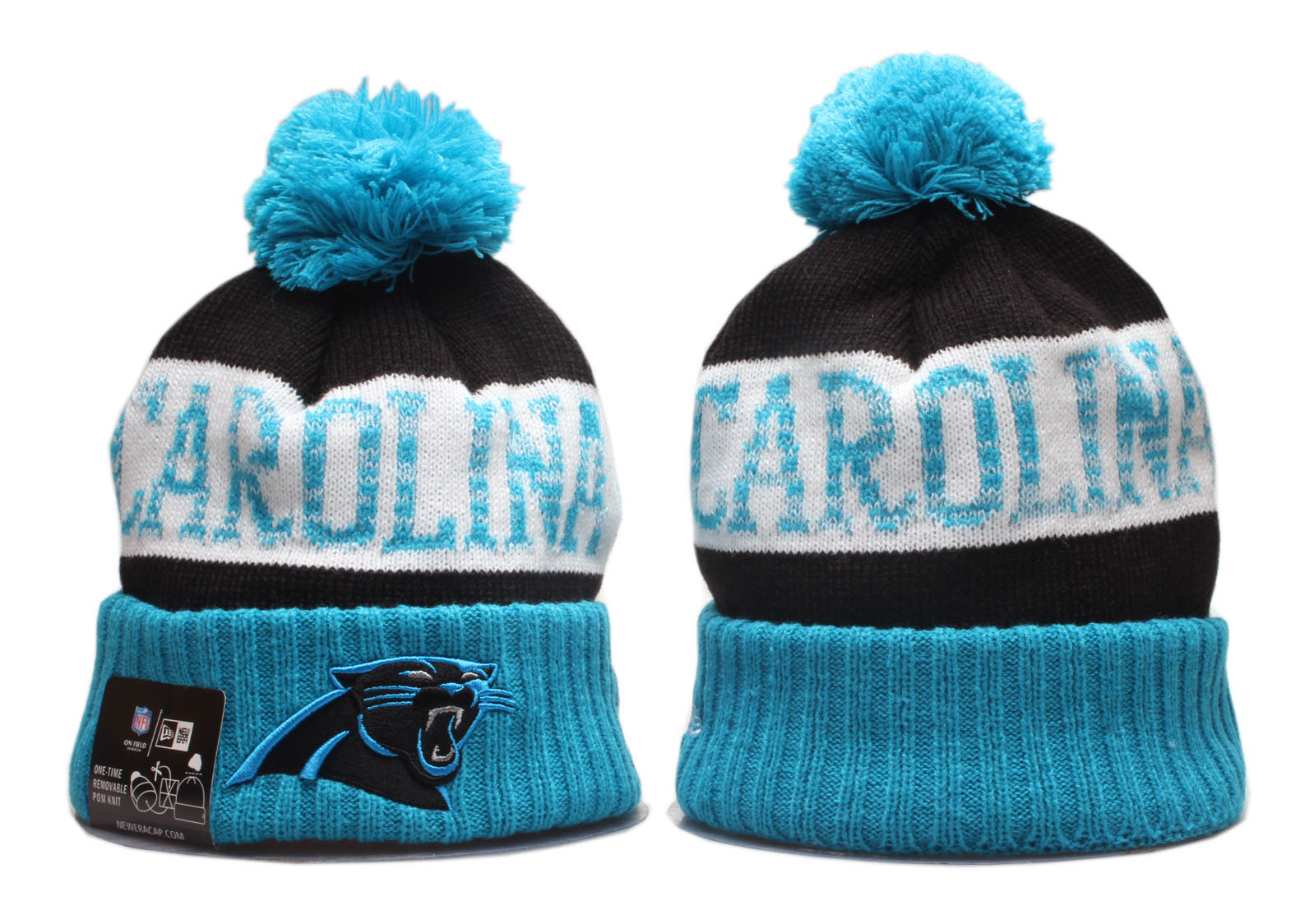 2020 NFL CAROLINA PANTHERS 02